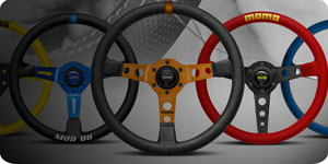 Steering Wheels & Covers
