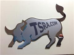 TSRA Stainless Steel Bull